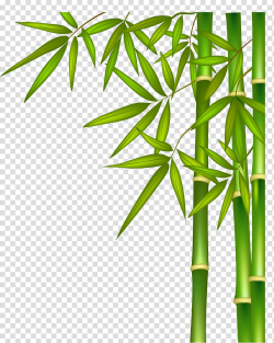 Green bamboo illustration, Green bamboo transparent ...