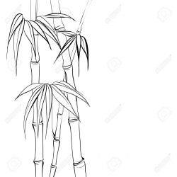 28+ Collection of Bamboo Tree Clipart Black And White | High quality ...