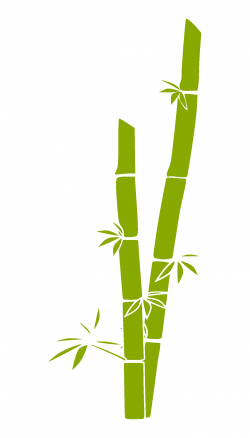 Best Of Bamboo Clipart Collection - Digital Clipart Collection