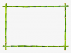 Bamboo Border, Green, Plant, Bamboo PNG Image and Clipart for Free ...