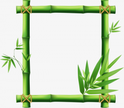 Bamboo Border, Bamboo Leaves, Bamboo, Asparagus PNG Image and ...