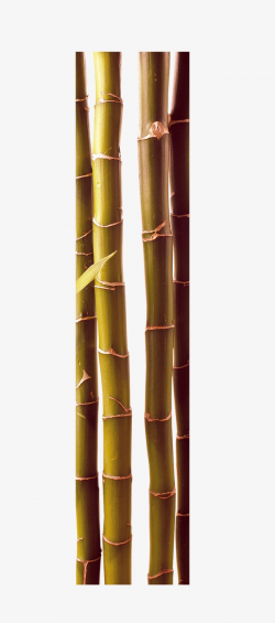 Beautiful Chinese Bamboo Wind, Beautiful, Chinese Style, Bamboo PNG ...