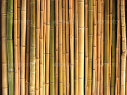 21+ Bamboo Patterns - PSD, Vector EPS, JPG Download | FreeCreatives