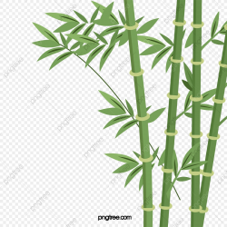Cartoon Bamboo Picture Bamboo Silhouette Bamboo, Cartoon ...