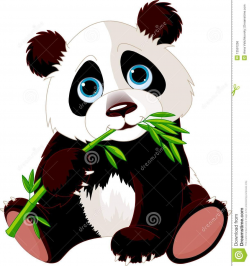 Panda Eating Bamboo Royalty Free Stock Image - Image: 13591256 ...