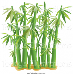 Bamboo Tree Clipart