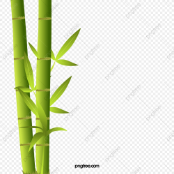 Bamboo Bamboo Silhouette, Bamboo Clipart, Bamboo Vector ...