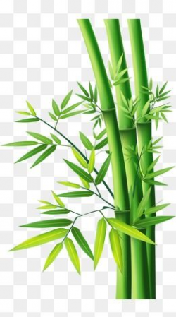 2019 的 Bamboo Bamboo, Bamboo, Bamboo Leaves, Bamboo Vector ...