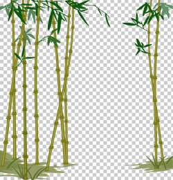 Bamboe Bamboo Computer File PNG, Clipart, Bamboo Forest ...