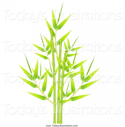 Clipart of a Green Bamboo with Fresh New Leaves and Stalks by Oligo ...