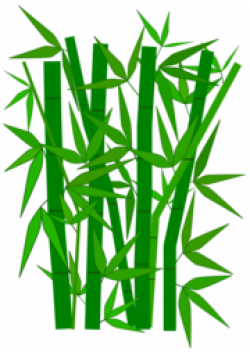 Free Green Bamboo Clipart and Vector Graphics - Clipart.me