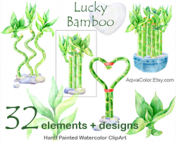 Lucky Bamboo - watercolor floral clipart commercial use Room home ...