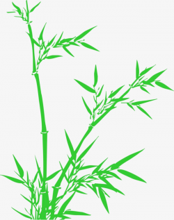 Lucky Bamboo Vector, Lucky Bamboo, Vector, Bamboo PNG Image and ...