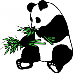 28+ Collection of Panda Eating Bamboo Clip Art | High quality, free ...