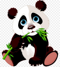 Giant panda Bear Red panda Cartoon - Eat bamboo panda png download ...