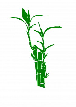 Clipart - bamboo