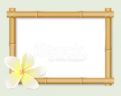 Bamboo Frame Stock Vector - FreeImages.com