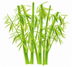Free Bamboo Cliparts, Download Free Clip Art, Free Clip Art ...