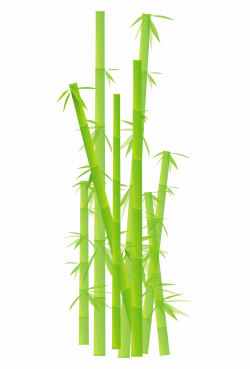 Bamboo Grass Jungle Leave Plant Png Image - Transparent ...