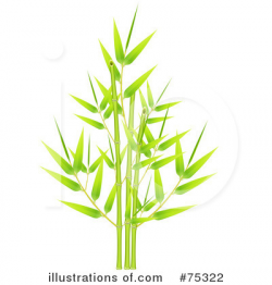 Bamboo Clipart #75322 - Illustration by Oligo