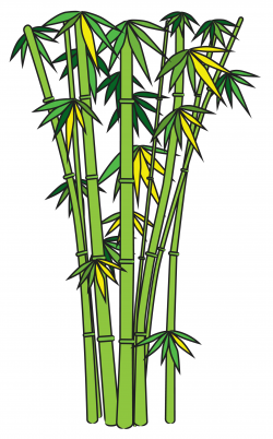 Bamboo clip art the cliparts - ClipartBarn