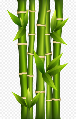 Bamboo Cartoon clipart - Bamboo, Grass, transparent clip art