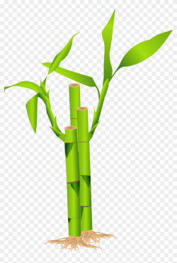 Bamboo Clipart Png, Transparent Png (#516503), Free Download ...