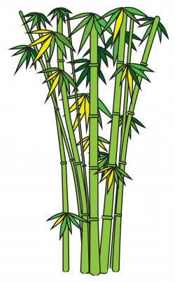 Bamboo Tree Clipart – Clip Art.Me