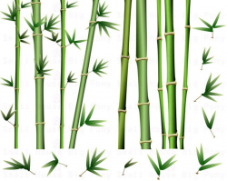 Bamboo Clipart Pack: bamboo Clip Art, short and tall bamboo Clip Art ,  Design Graphics, Create your own background