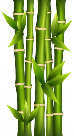Best Of Bamboo Clipart Collection - Digital Clipart Collection