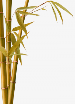 Yellow Simple Bamboo Decorative Pattern, Yellow, Simple, Bamboo PNG ...