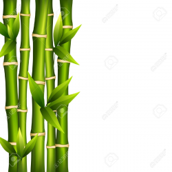 28+ Collection of Bamboo Clipart Background | High quality, free ...