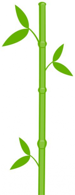 Bamboo Clipart | Free download best Bamboo Clipart on ClipArtMag.com