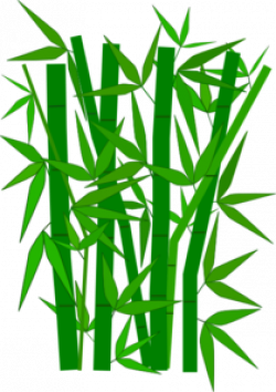 Bamboo 9 Clip Art at Clker.com - vector clip art online, royalty ...