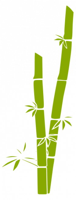 Download Bamboo Free PNG photo images and clipart | FreePNGImg