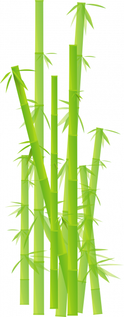 Clipart - Bamboo