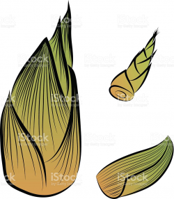 Bamboo clipart bamboo shoot - Pencil and in color bamboo clipart ...