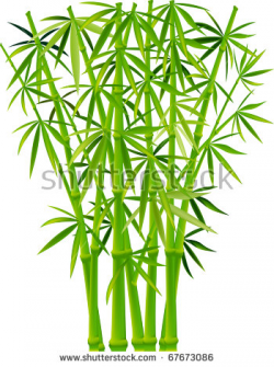 Bamboo grass clipart