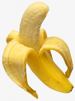 Banana Photos, White, Yellow, Fruit PNG Image and Clipart for Free ...