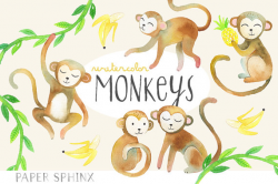Watercolor Monkeys Clipart | Baby Animals - Jungle Monkey - Banana ...