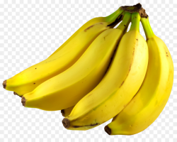 Banana Clip art - Bunch of Bananas png download - 1810*1429 - Free ...