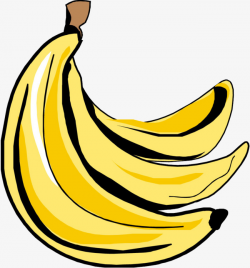 Banana, Hand Painted Banana, Cartoon Banana PNG Image and Clipart ...