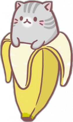 cat gatito cute banana kawaii IJM...