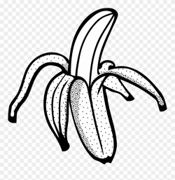 Banana Black And White Clipart - Banana Line Art Png ...