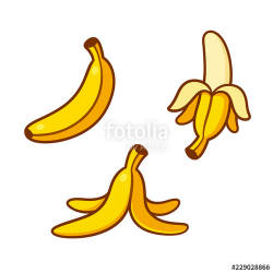 Cartoon bananas illustration set