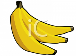 Three Bananas In A Bunch Clipart Image - foodclipart.com