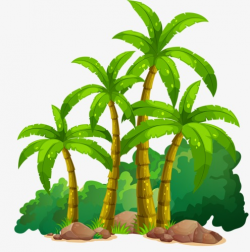 Coconut Tree, Great, Summer, Banana Tree PNG Image and Clipart for ...