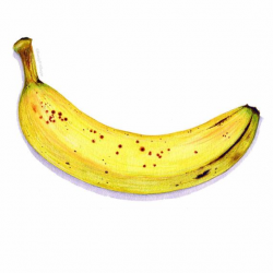 Ripe Banana Art // Food Illustration // от KendyllHillegas на Etsy ...