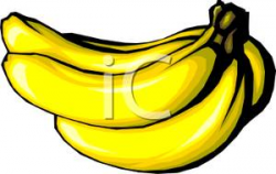 A Bunch of Yellow Bananas Clipart Picture