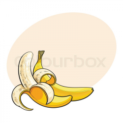 Bananas Drawing at GetDrawings.com | Free for personal use Bananas ...